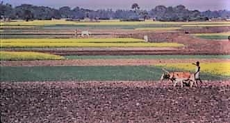 Plowing
